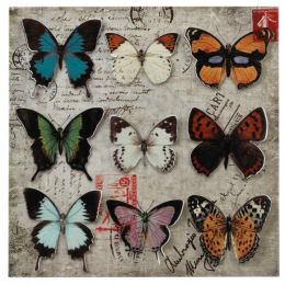 Butterfly Collage 3-D Wall Art