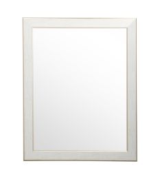 Gold Trimmed Legacy Framed Vanity Wall Mirror (size: 32''x 50'')