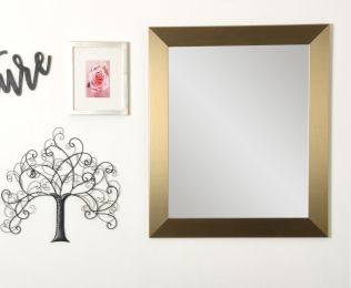 Contemporary Champagne Wall Mirror (size: 32'' x 50'')